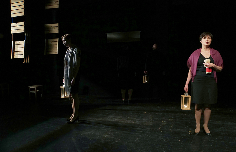 Пролетный гусь