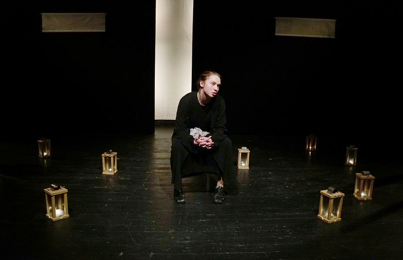 Пролетный гусь