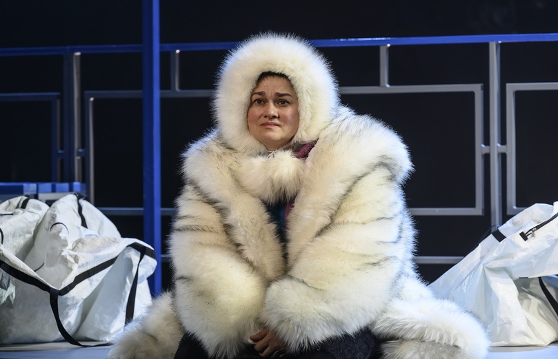 Полярная болезнь